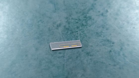 MIOC Intensity Modulator Chip, Modulator di fase Chip
