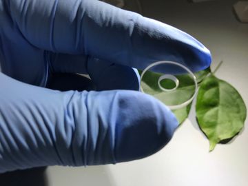Buon prezzo Componenti dello zaffiro di resistenza della corrosione che sopportano guarnizione con tolleranza ±0.03mm del foro in linea