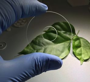 Buon prezzo Resistenza all'abrasione ad alta temperatura di vetro dell'anello ottico dello zaffiro delle componenti dello zaffiro di durezza 9,0 in linea