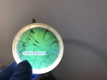 Buon prezzo Tipo A 2 POLLICI lingotti del wafer del carburo di silicio 6H-N dei wafer sic di cristallo 330um di MPD 50cm in linea